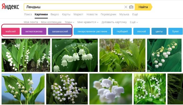 Filter für die Suche nach Yandex-Bildern