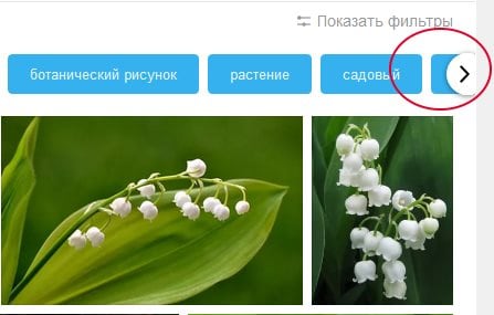Pfeil zum Anzeigen anderer Filter in Yandex