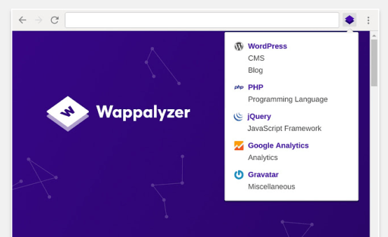 Erweiterung für Browser Wappalyzer
