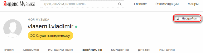 Yandex-Profileinstellungen