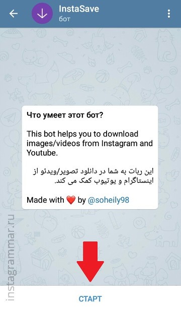 Instagram-Geschichten anonym anzeigen - Telegramm-Bot