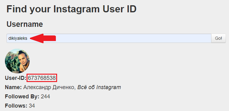Wie finde ich ID auf Instagram?