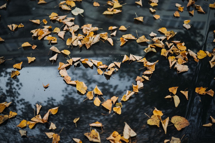 Herbst Instagram Foto Ideen - ein Herz aus Blättern