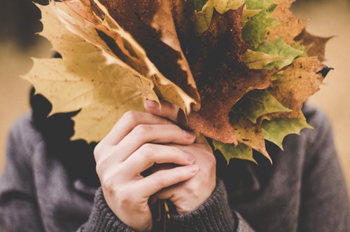 Herbst Foto Ideen für Instagram ein paar Blätter