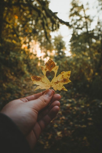 Herbstfoto-Ideen für Instagram-Flyer mit Herz
