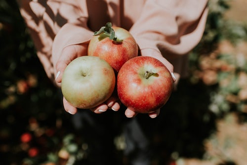 Herbstfoto-Ideen für Instagram - Äpfel in der Hand