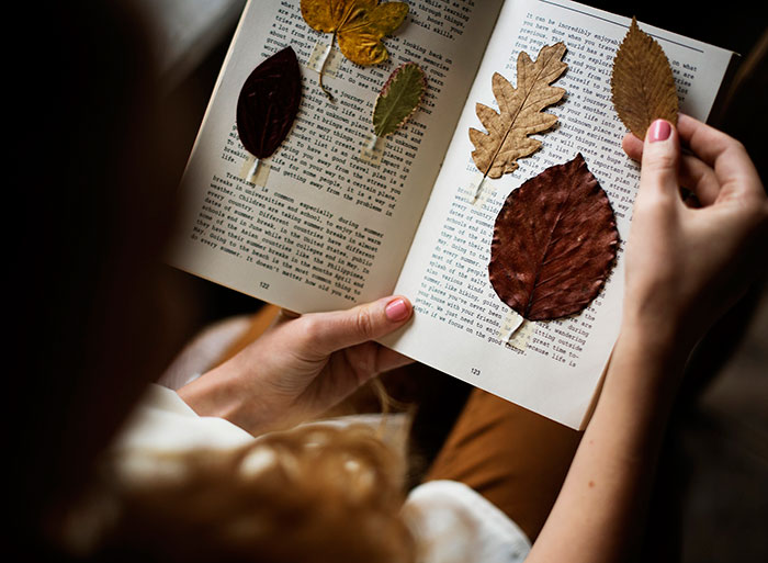 Herbstfoto-Ideen für Instagram - trockene Blätter in einem Buch