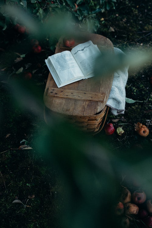 Herbstfoto-Ideen für Instagram - ein Picknickbuch