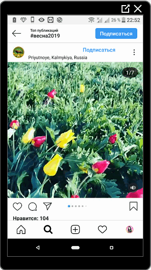 Video auf Instagram über den Frühling
